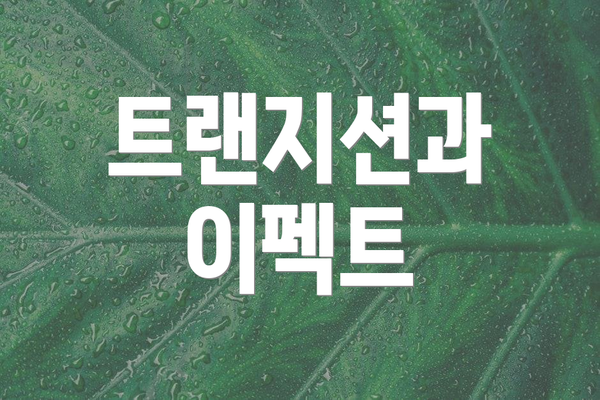 트랜지션과 이펙트