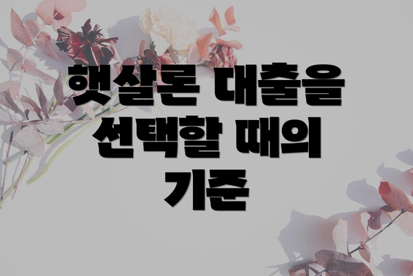 햇살론 대출을 선택할 때의 기준