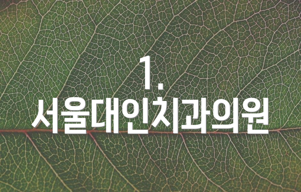 1. 서울대인치과의원