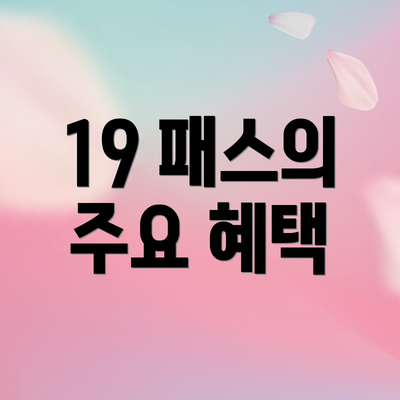 19 패스의 주요 혜택