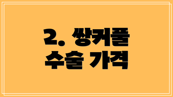 2. 쌍커풀 수술 가격