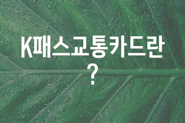 K패스교통카드란?