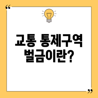 교통 통제구역 벌금이란?