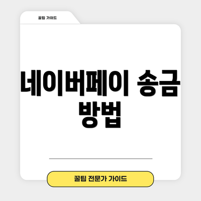 네이버페이 송금 방법