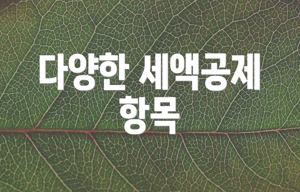 다양한 세액공제 항목