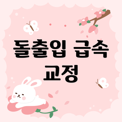 돌출입 급속 교정