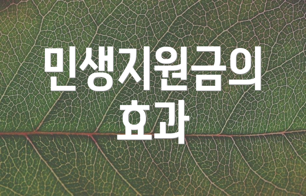 민생지원금의 효과