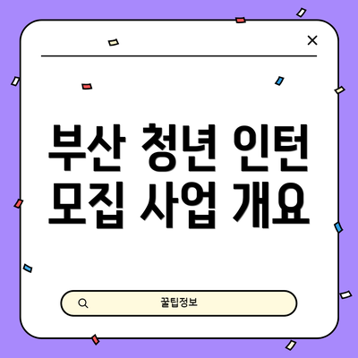 부산 청년 인턴 모집 사업 개요