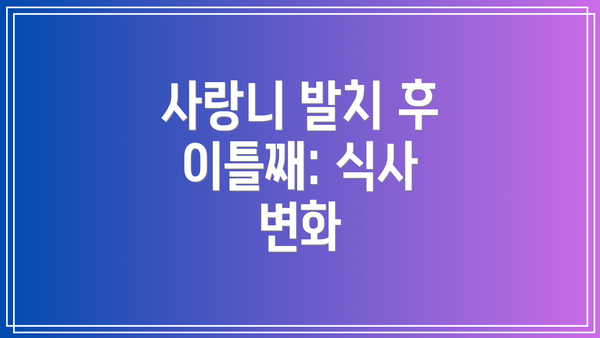 사랑니 발치 후 이틀째: 식사 변화