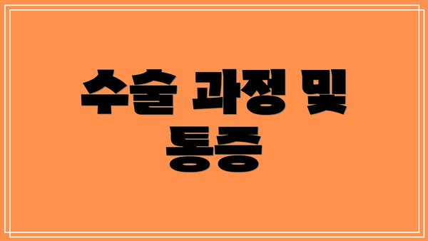 수술 과정 및 통증