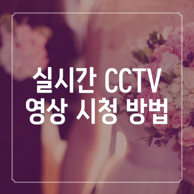 실시간 CCTV 영상 시청 방법