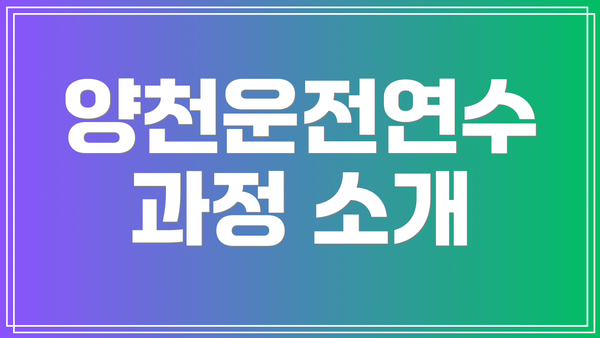 양천운전연수 과정 소개