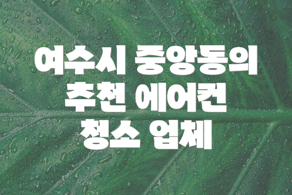여수시 중앙동의 추천 에어컨 청소 업체