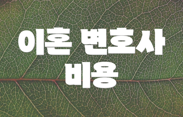 이혼 변호사 비용