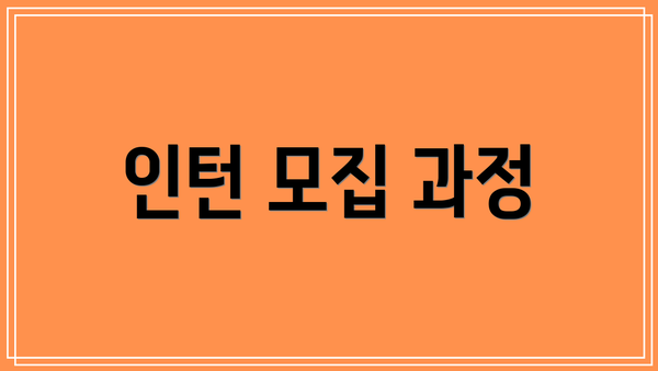 인턴 모집 과정