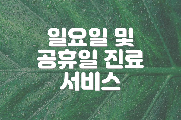 일요일 및 공휴일 진료 서비스