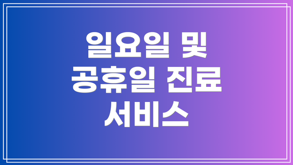 일요일 및 공휴일 진료 서비스