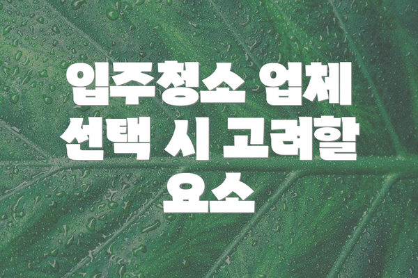 입주청소 업체 선택 시 고려할 요소