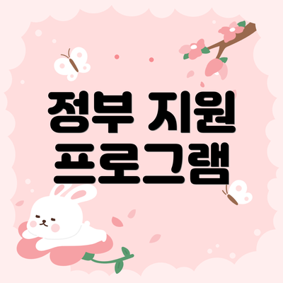 정부 지원 프로그램