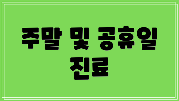 주말 및 공휴일 진료