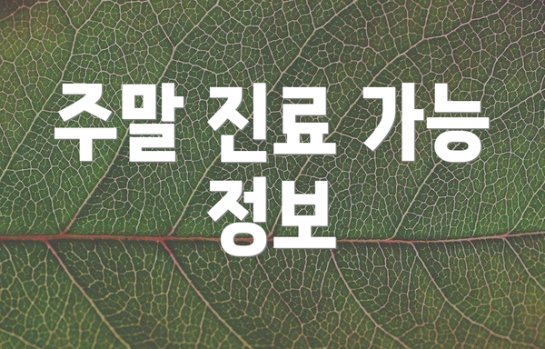 주말 진료 가능 정보