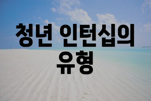 청년 인턴십의 유형