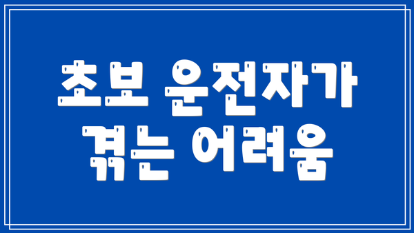 초보 운전자가 겪는 어려움