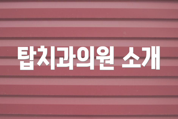 탑치과의원 소개