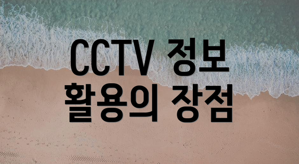 CCTV 정보 활용의 장점