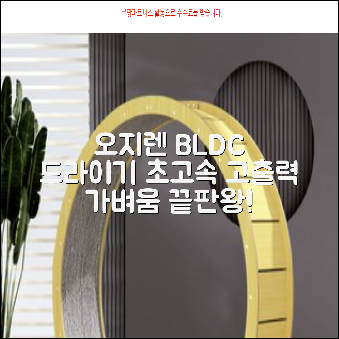 오지렌 초고속 고출력 초경량 음이온 BLDC 모터 헤어 드라이기, 화이트 추천 리뷰