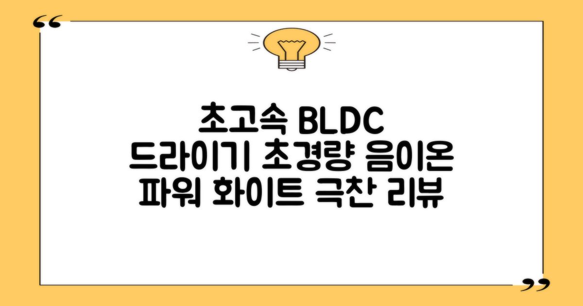 오지렌 초고속 고출력 초경량 음이온 BLDC 모터 헤어 드라이기, 화이트 추천 리뷰