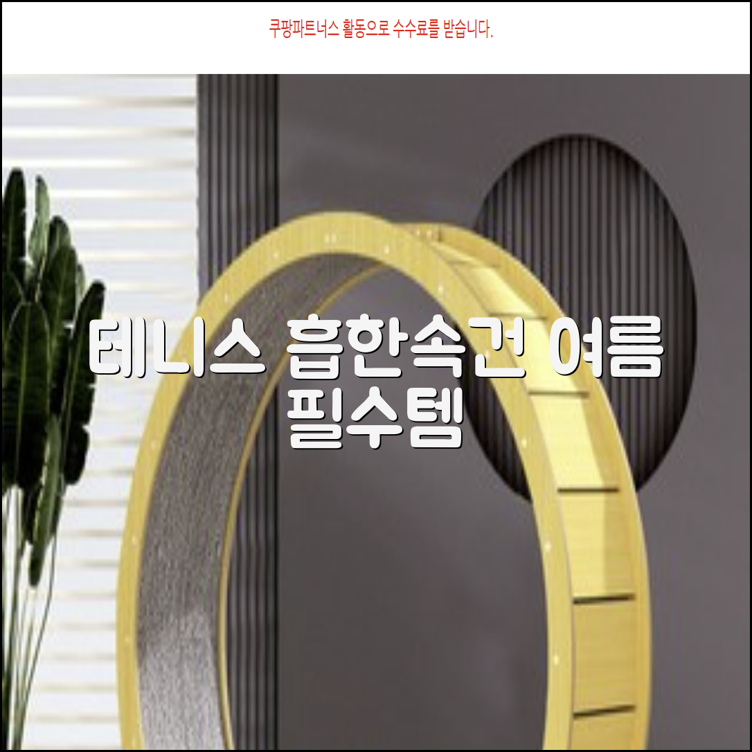 테니스 그래픽 기능성 드라이 티셔츠 / 흡한속건 여름 반팔 S~2XL / 커플룩 단체복 운동복 추천 리뷰