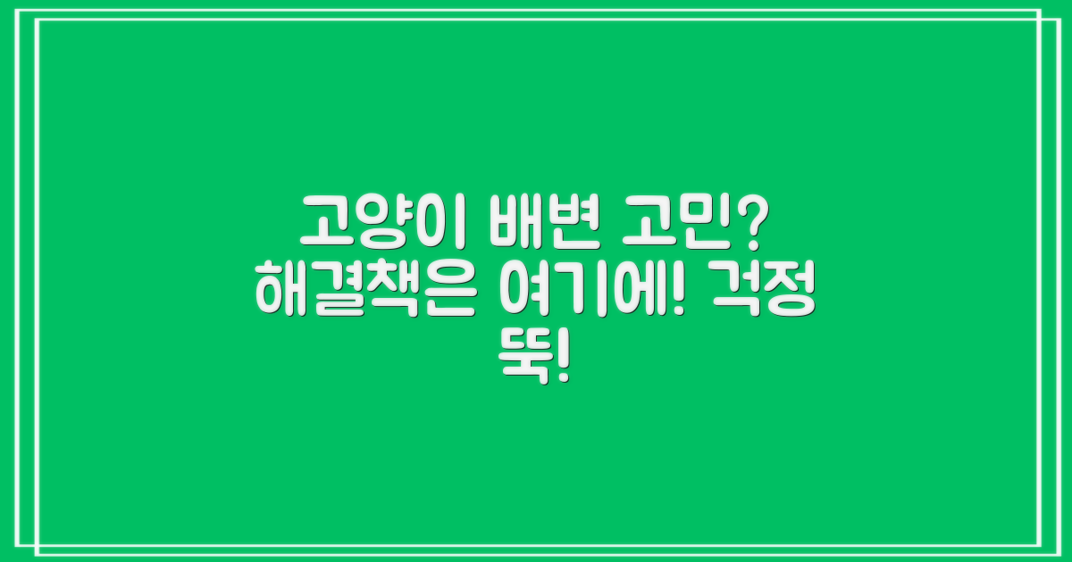 고양이 배변, 왜 고민일까요?