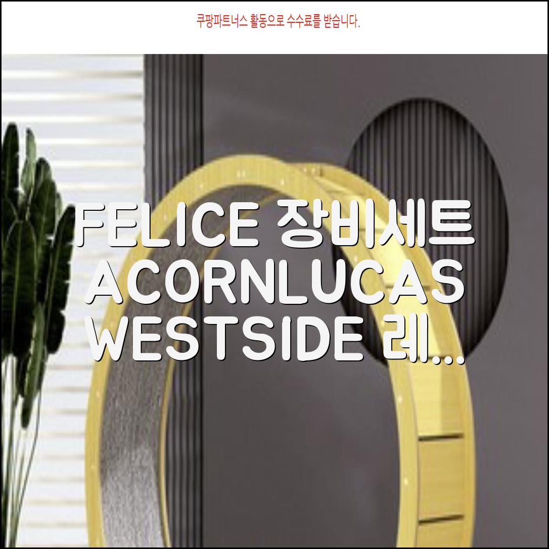 FELICE 장비세트6 ACORN데크 바인딩 LUCAS부츠, WESTSIDE 레드154+바인딩M, 1개 추천 리뷰