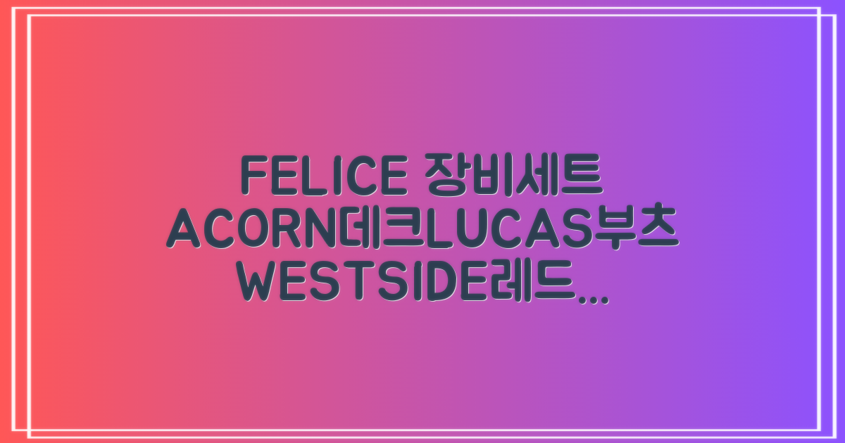 FELICE 장비세트6 ACORN데크 바인딩 LUCAS부츠, WESTSIDE 레드154+바인딩M, 1개 추천 리뷰
