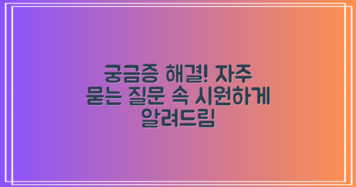 자주 묻는 질문